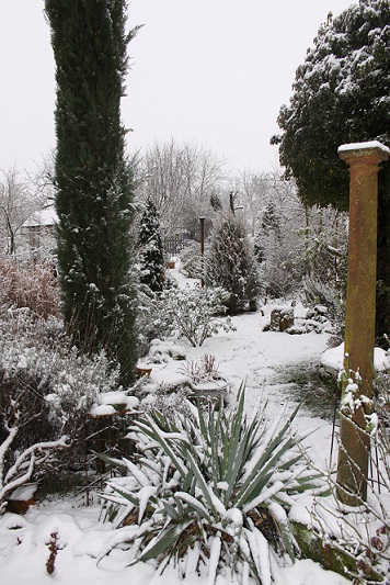 garten im Schnee